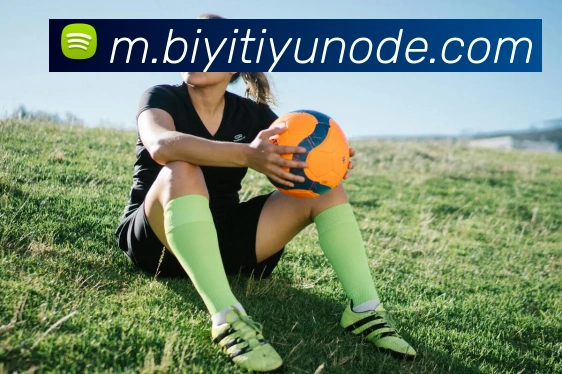 App Interface Preview